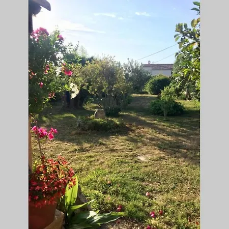 Appartement 5Min Des Plages, Bas De Villa Apercu Mer Avec Jardin