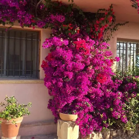 5Min Des Plages, Bas De Villa Apercu Mer Avec Jardin Appartement Vallauris