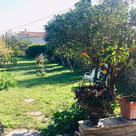 5Min Des Plages, Bas De Villa Apercu Mer Avec Jardin *